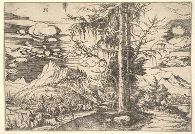 Krajina s dvojitým smrkem, ca. 1521-22. od Albrecht Altdorfer