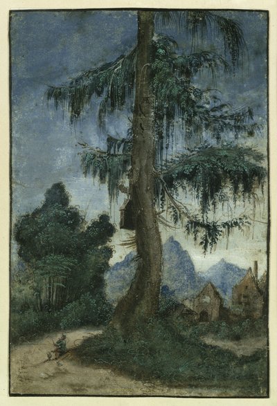 Krajina se smrkem od Albrecht Altdorfer