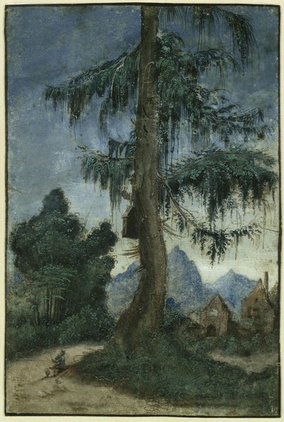 Krajina se smrkem od Albrecht Altdorfer