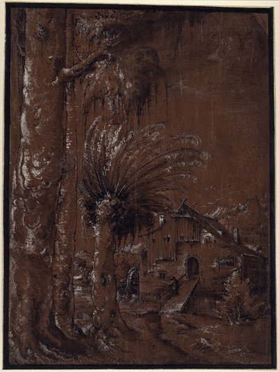 Krajina s vodním mlýnem od Albrecht Altdorfer