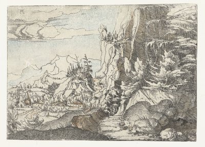 Krajina s temnou skalní stěnou od Albrecht Altdorfer
