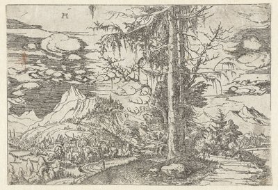 Krajina s dvojitou jedlí od Albrecht Altdorfer