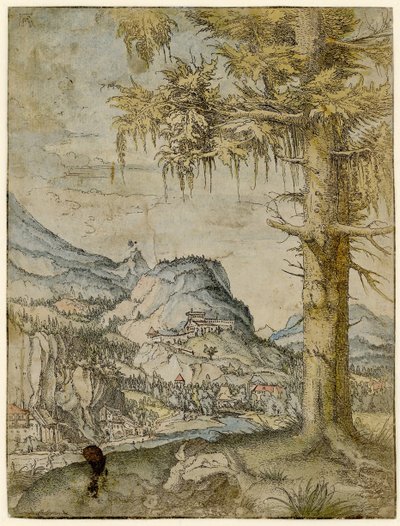 Velký smrk, cca 1517-1520. od Albrecht Altdorfer