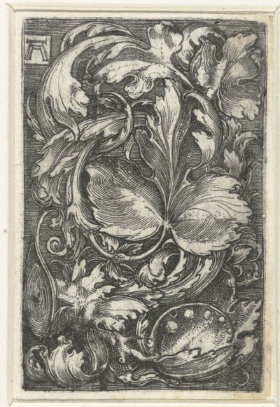 Ornament se setkal s blaranken od Albrecht Altdorfer