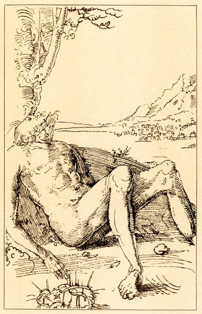 Studie o nářku od Albrecht Altdorfer