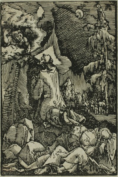 Agónie v zahradě, z Pádu a Vykoupení člověka od Albrecht Altdorfer