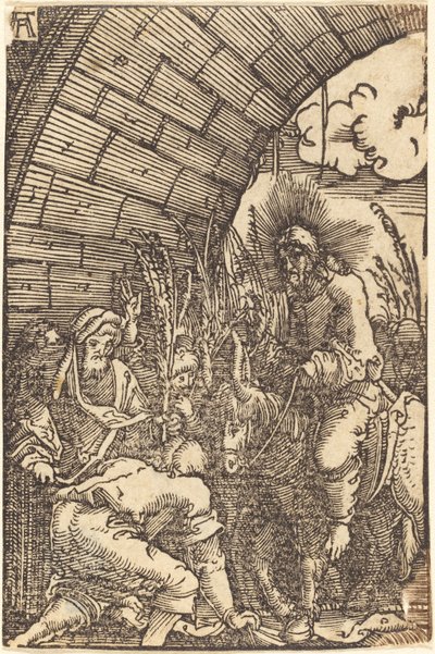 Vjezd do Jeruzaléma od Albrecht Altdorfer