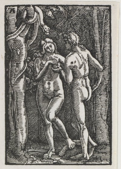 Pád a vykoupení člověka: Adam a Eva jedli zakázané ovoce, c. 1513. od Albrecht Altdorfer