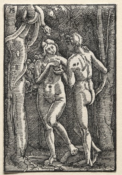Pád a vykoupení člověka: Adam a Eva jedli zakázané ovoce, c. 1515. od Albrecht Altdorfer