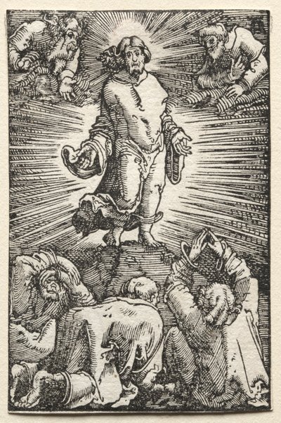 Pád a vykoupení člověka: Proměna od Albrecht Altdorfer