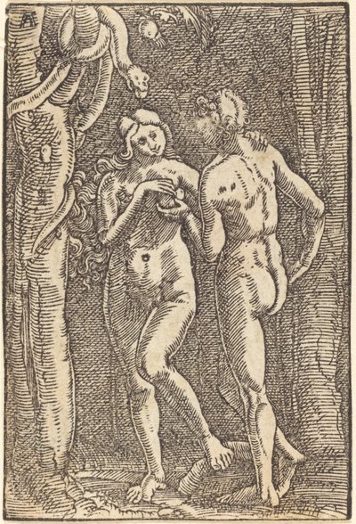Pád člověka od Albrecht Altdorfer