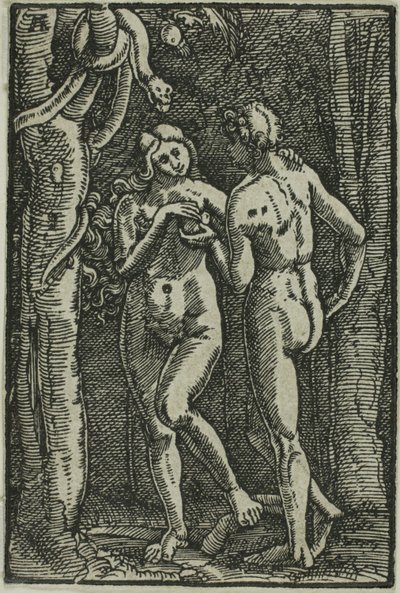 Pád člověka, z Pádu a vykoupení člověka od Albrecht Altdorfer