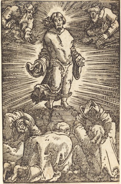 Proměna od Albrecht Altdorfer