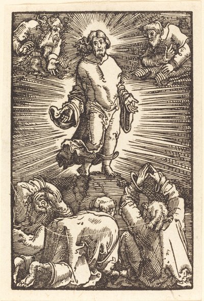Proměna od Albrecht Altdorfer