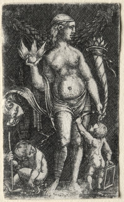Venuše mezi dvěma amorky od Albrecht Altdorfer