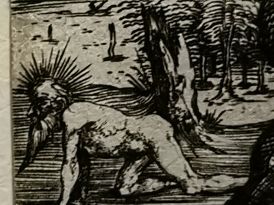 2021 - Druhá červencová dávka Mateus2019 (72) od Albrecht Dürer