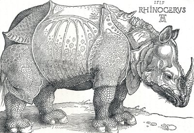 A Rhinoceros, 1515, 1906 od Albrecht Dürer