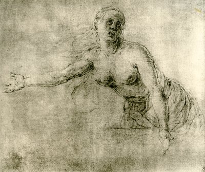 Studie, 1913 od Albrecht Dürer