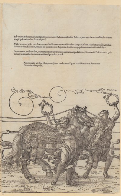 od Albrecht Dürer