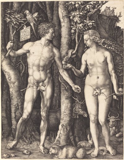 Adam a Eva od Albrecht Dürer