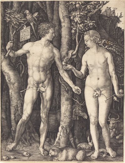 Adam a Eva od Albrecht Dürer