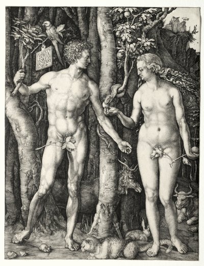 Adam a Eva od Albrecht Dürer