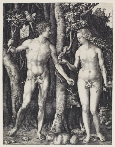 Adam a Eva od Albrecht Dürer