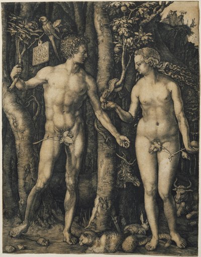 Adam a Eva od Albrecht Dürer