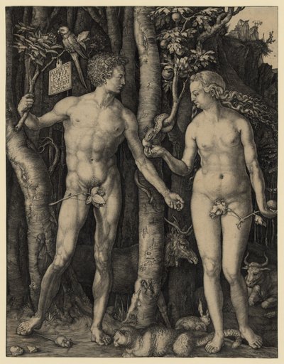 Adam a Eva od Albrecht Dürer