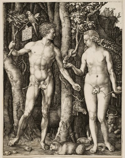 Adam a Eva od Albrecht Dürer