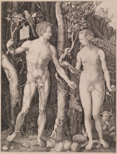 Adam a Eva od Albrecht Dürer