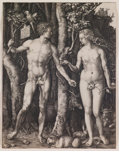  od Albrecht Dürer