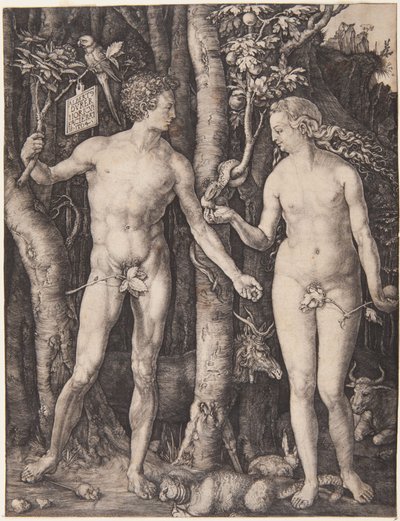  od Albrecht Dürer