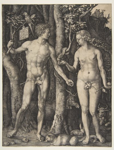  od Albrecht Dürer
