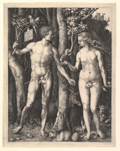  od Albrecht Dürer