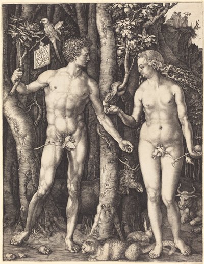  od Albrecht Dürer