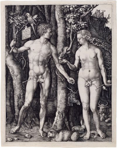  od Albrecht Dürer