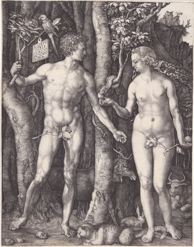  od Albrecht Dürer