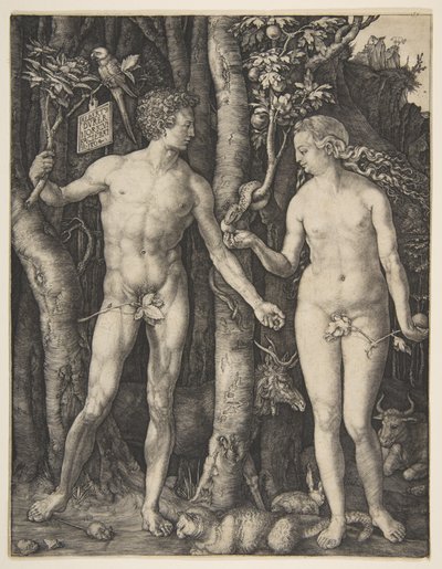 Adam a Eva od Albrecht Dürer
