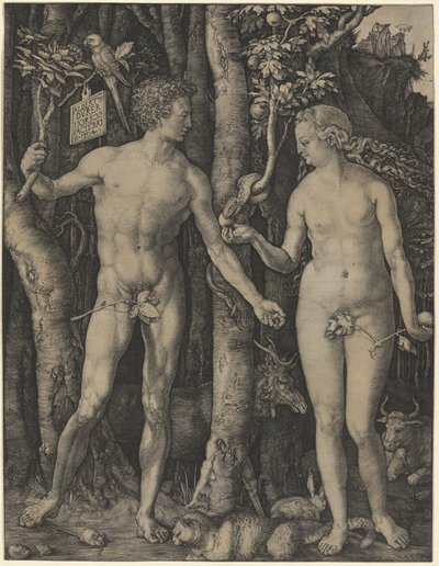 Adam a Eva od Albrecht Dürer
