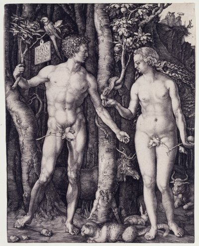  od Albrecht Dürer