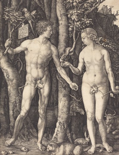 Adam a Eva, 1504. od Albrecht Dürer