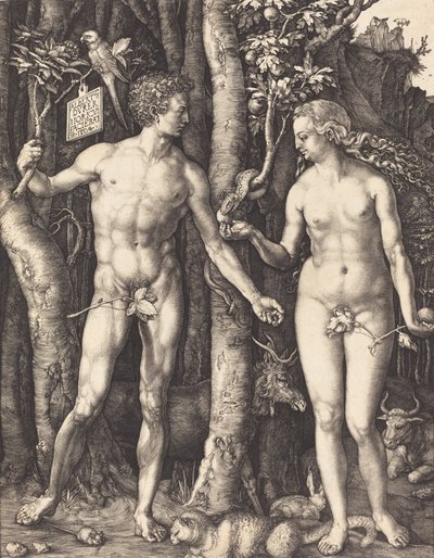 Adam a Eva, 1504. od Albrecht Dürer