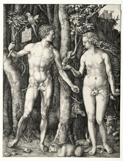 Adam a Eva, 1504. od Albrecht Dürer