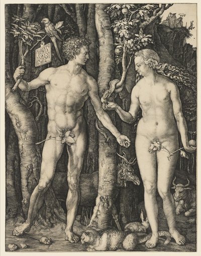 Adam a Eva, 1504 od Albrecht Dürer