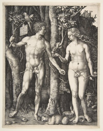 Adam a Eva, 1504. od Albrecht Dürer