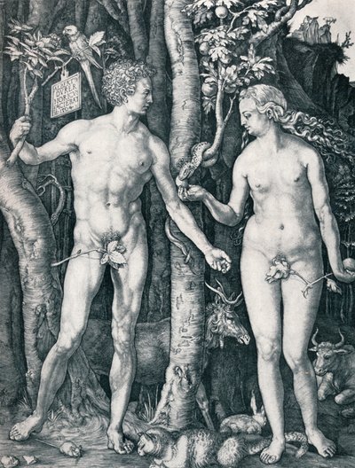 Adam a Eva, 1504 1906 od Albrecht Dürer