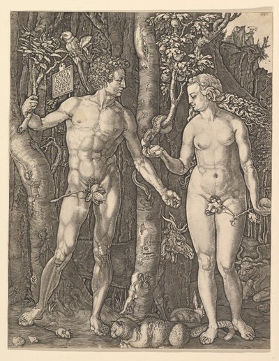 Adam a Eva, 1566. od Albrecht Dürer