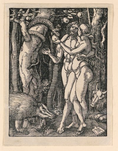 Adam a Even ze seriálu Malá vášeň od Albrecht Dürer