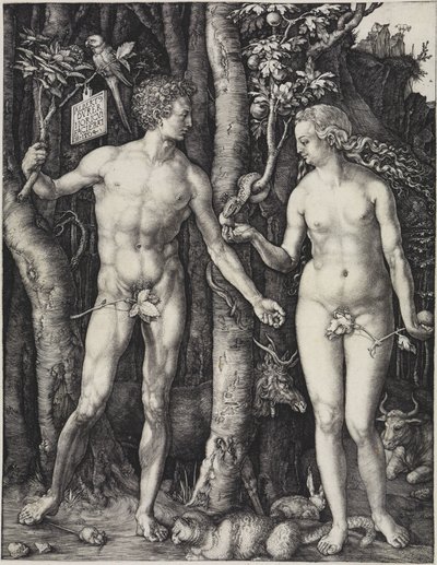  od Albrecht Dürer
